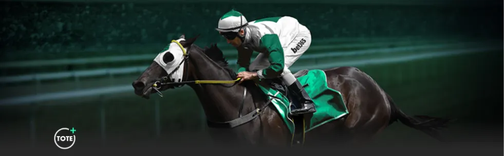 高塔防守者,获勇士信赖,有何过人之,咪咕体育,咪咕体育直播平台