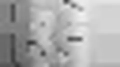 国足新星闪耀中超！台州孵化最年轻进球天才