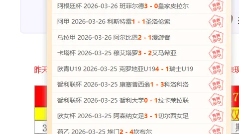 费内巴切11胜8期：专家质合分析前区十码推荐